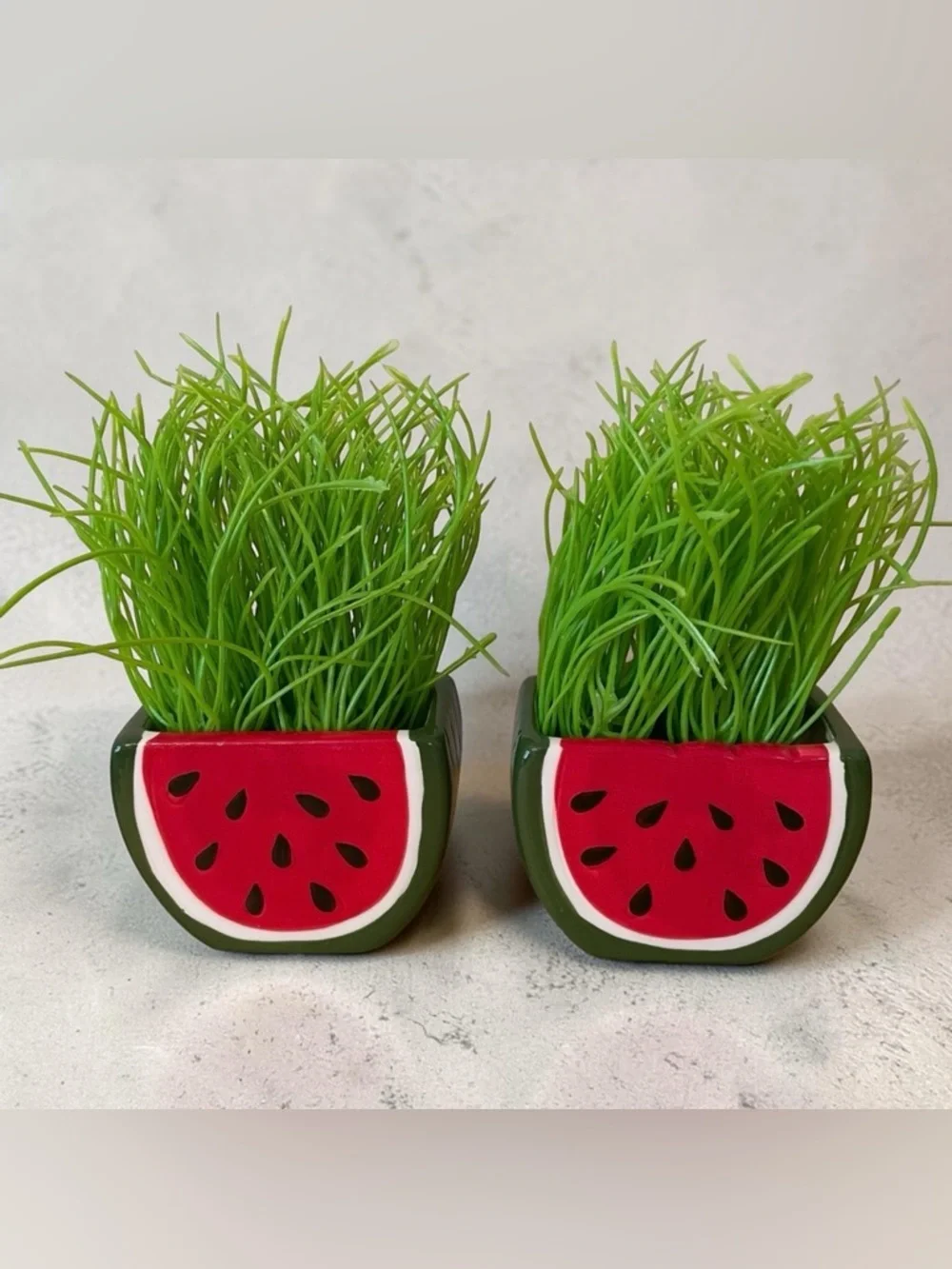 Watermelon Planter Set Faux Grass Decor Kawaii Summer Core 🍉